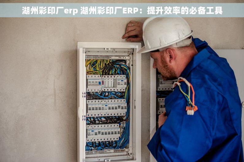 湖州彩印厂erp 湖州彩印厂ERP：提升效率的必备工具