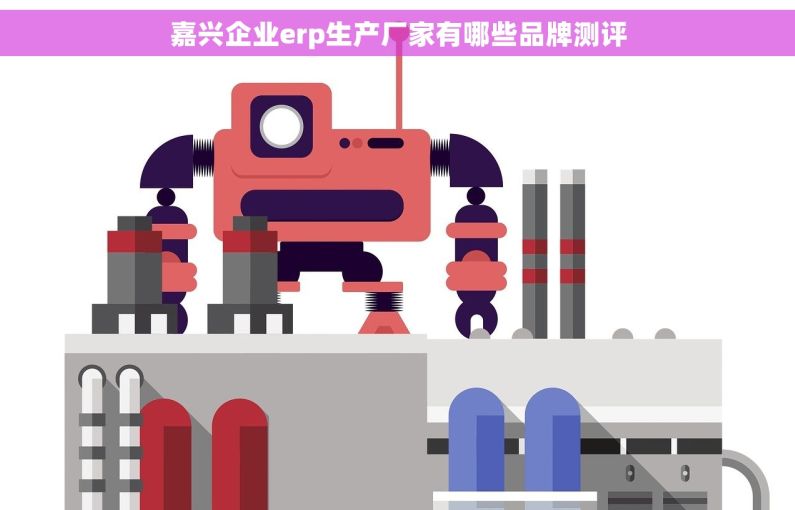 嘉兴企业erp生产厂家有哪些品牌测评