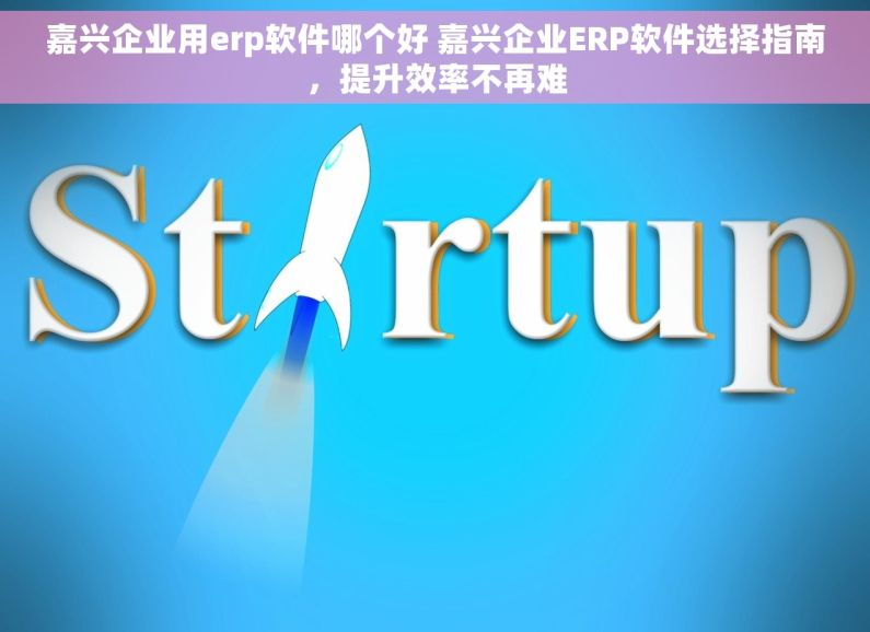 嘉兴企业用erp软件哪个好 嘉兴企业ERP软件选择指南，提升效率不再难