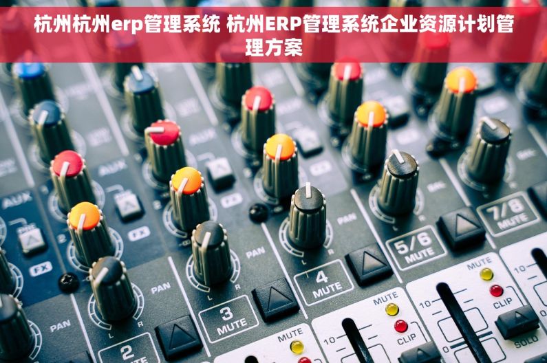 杭州杭州erp管理系统 杭州ERP管理系统企业资源计划管理方案