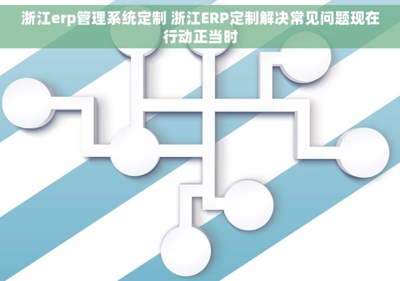 浙江erp管理系统定制 浙江ERP定制解决常见问题现在行动正当时