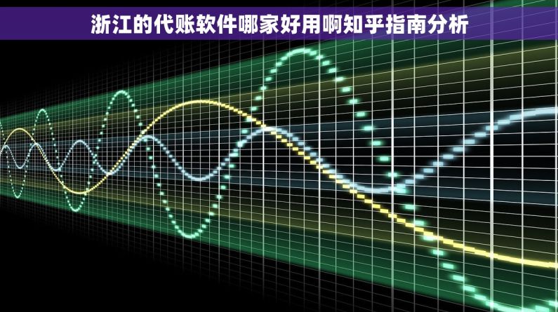 浙江的代账软件哪家好用啊知乎指南分析