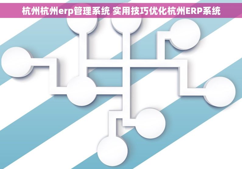 杭州杭州erp管理系统 实用技巧优化杭州ERP系统