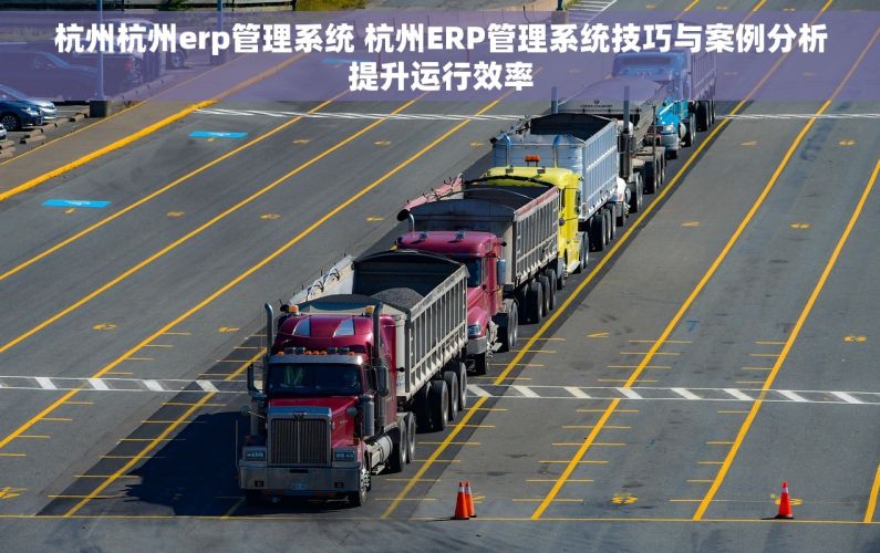 杭州杭州erp管理系统 杭州ERP管理系统技巧与案例分析提升运行效率