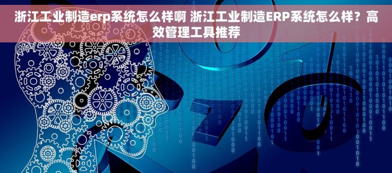 浙江工业制造erp系统怎么样啊 浙江工业制造ERP系统怎么样？高效管理工具推荐