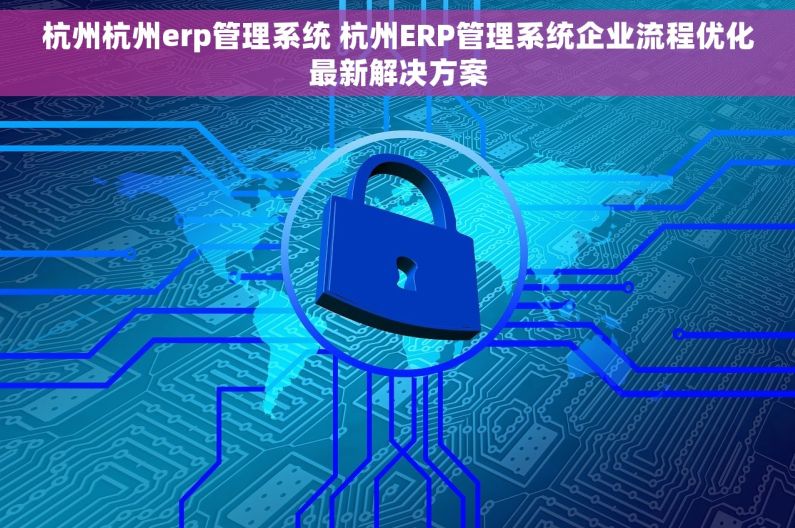 杭州杭州erp管理系统 杭州ERP管理系统企业流程优化最新解决方案
