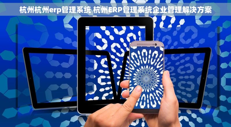 杭州杭州erp管理系统 杭州ERP管理系统企业管理解决方案