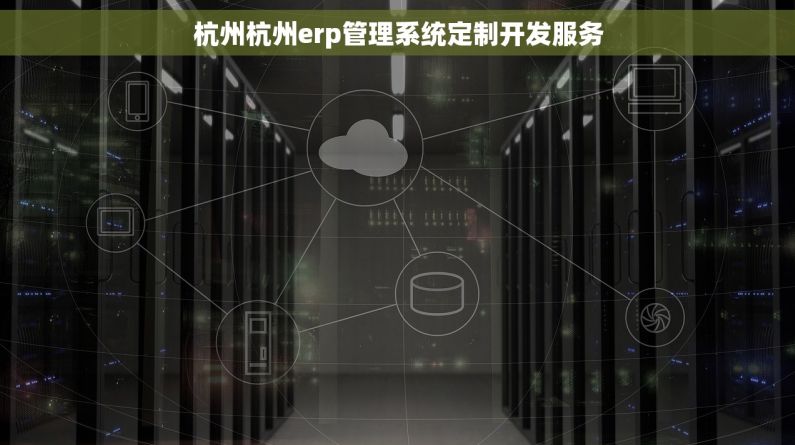 杭州杭州erp管理系统定制开发服务