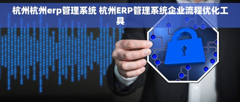 杭州杭州erp管理系统 杭州ERP管理系统企业流程优化工具