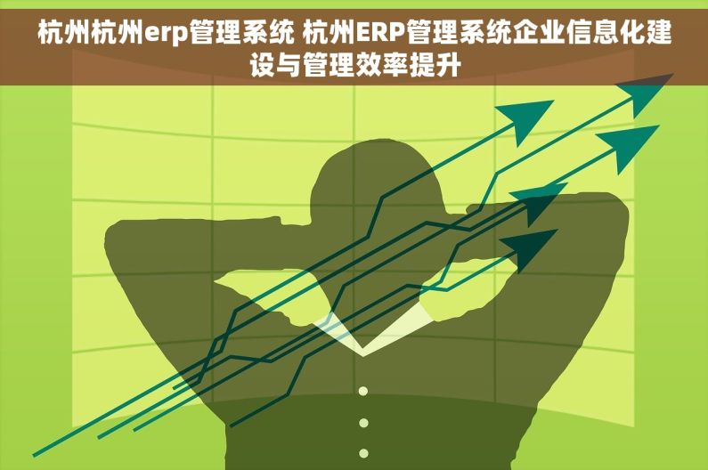 杭州杭州erp管理系统 杭州ERP管理系统企业信息化建设与管理效率提升
