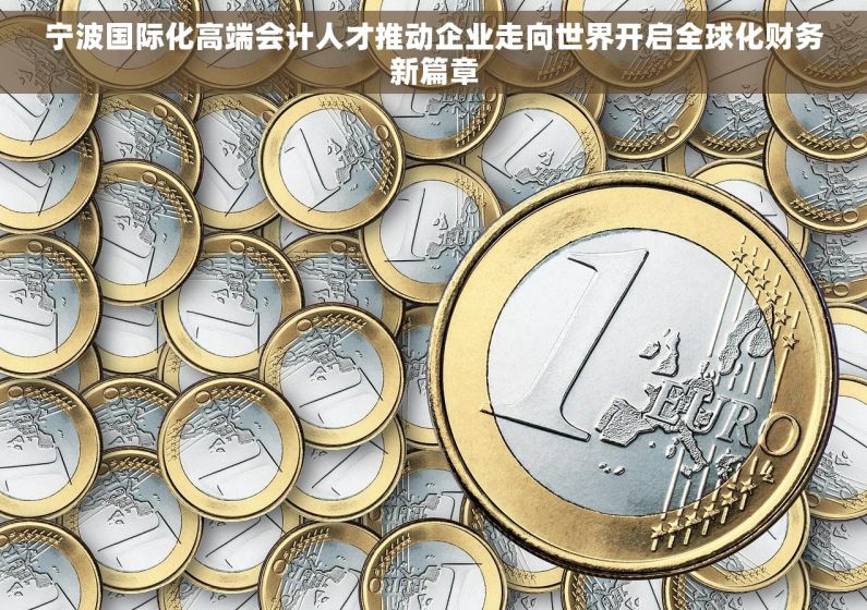 宁波国际化高端会计人才推动企业走向世界开启全球化财务新篇章