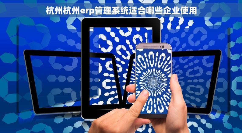 杭州杭州erp管理系统适合哪些企业使用