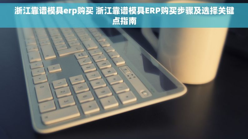浙江靠谱模具erp购买 浙江靠谱模具ERP购买步骤及选择关键点指南