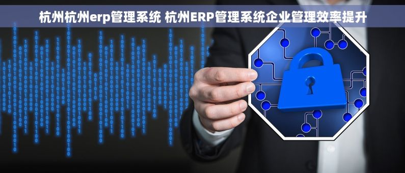 杭州杭州erp管理系统 杭州ERP管理系统企业管理效率提升