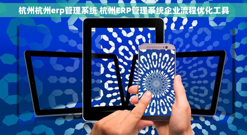 杭州杭州erp管理系统 杭州ERP管理系统企业流程优化工具