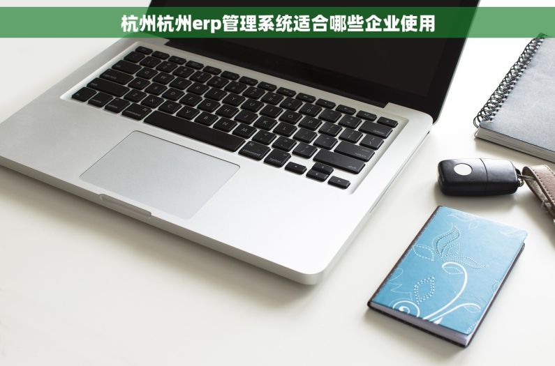 杭州杭州erp管理系统适合哪些企业使用