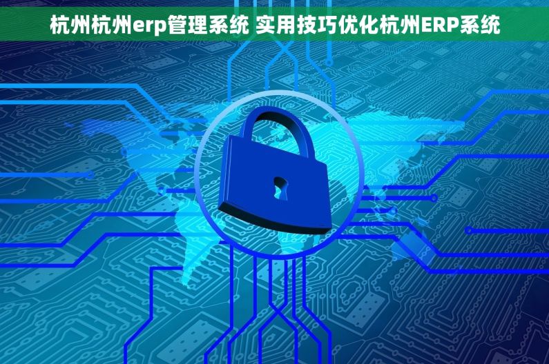 杭州杭州erp管理系统 实用技巧优化杭州ERP系统