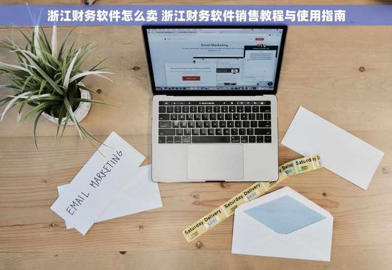 浙江财务软件怎么卖 浙江财务软件销售教程与使用指南