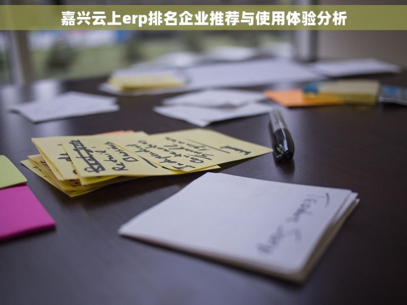 嘉兴云上erp排名企业推荐与使用体验分析