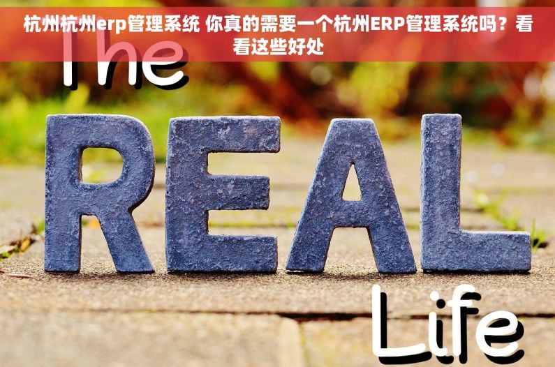 杭州杭州erp管理系统 你真的需要一个杭州ERP管理系统吗？看看这些好处