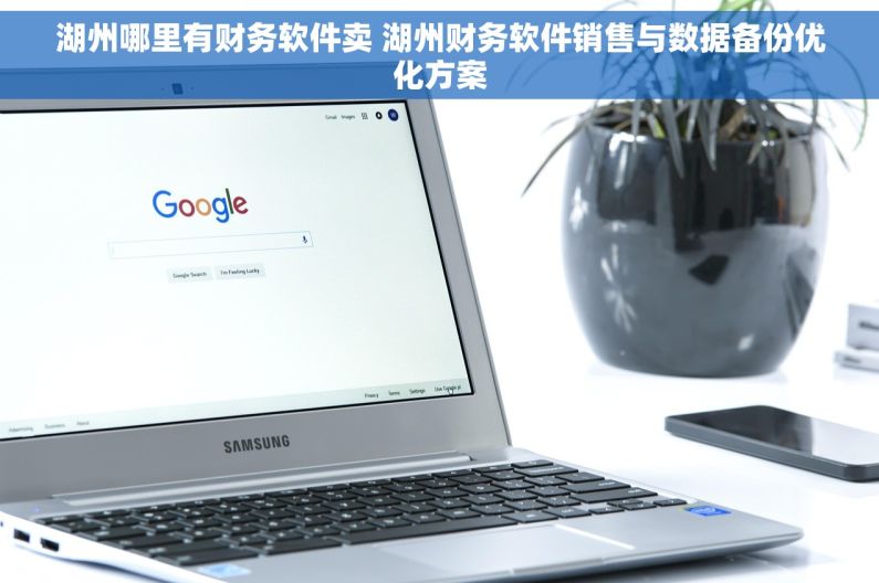 湖州哪里有财务软件卖 湖州财务软件销售与数据备份优化方案