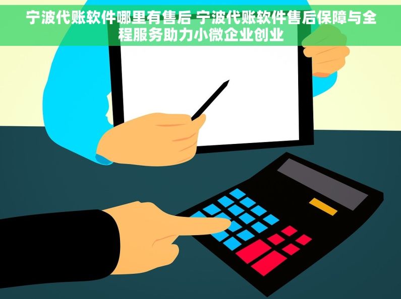 宁波代账软件哪里有售后 宁波代账软件售后保障与全程服务助力小微企业创业