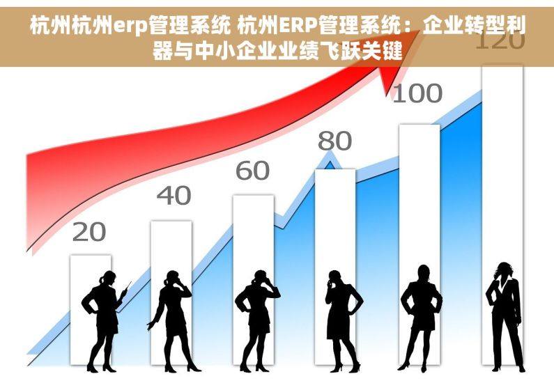 杭州杭州erp管理系统 杭州ERP管理系统：企业转型利器与中小企业业绩飞跃关键