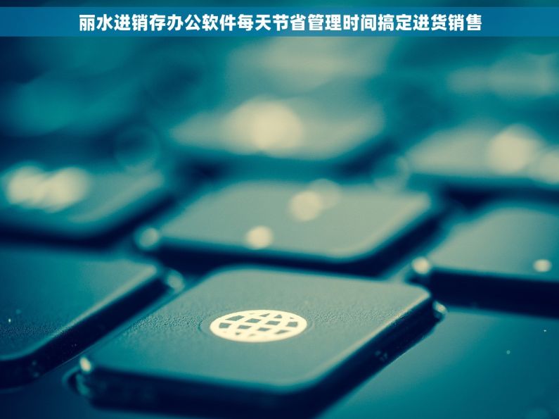 丽水进销存办公软件每天节省管理时间搞定进货销售
