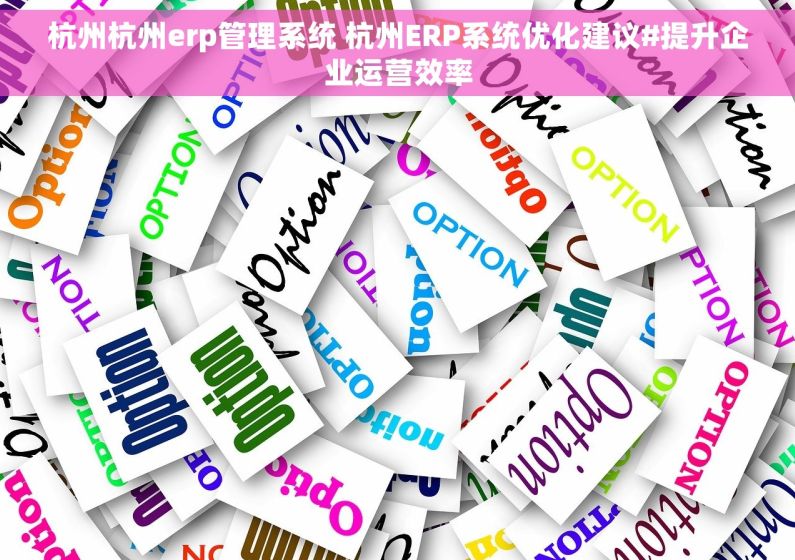 杭州杭州erp管理系统 杭州ERP系统优化建议#提升企业运营效率
