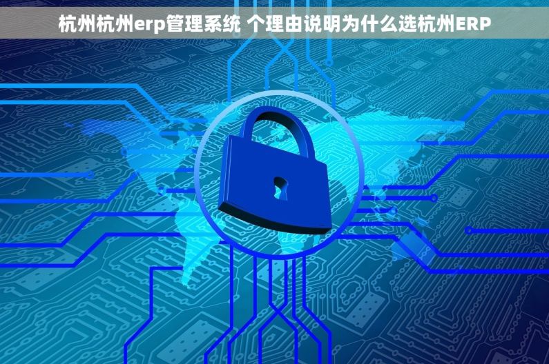 杭州杭州erp管理系统 个理由说明为什么选杭州ERP