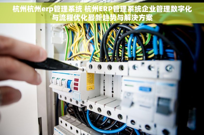 杭州杭州erp管理系统 杭州ERP管理系统企业管理数字化与流程优化最新趋势与解决方案