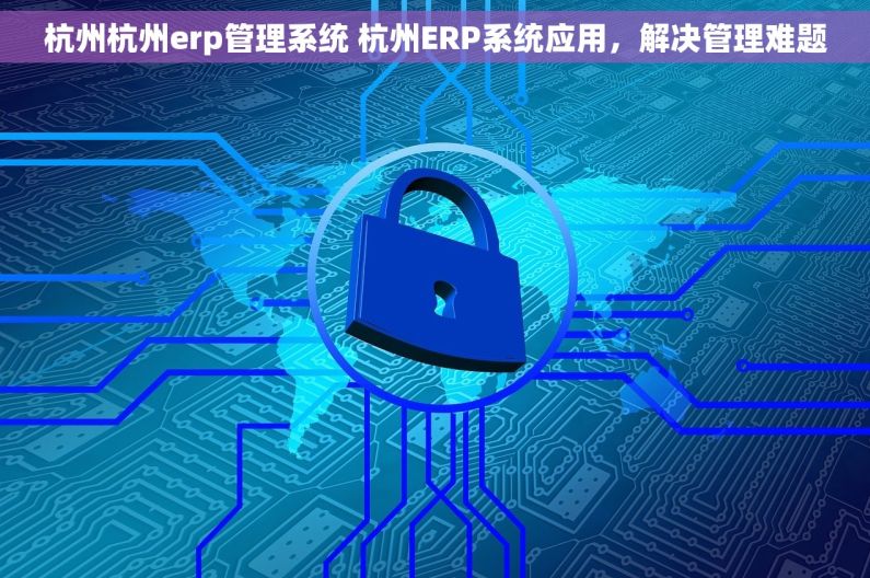 杭州杭州erp管理系统 杭州ERP系统应用，解决管理难题