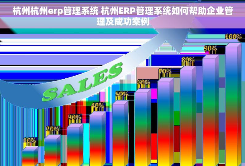 杭州杭州erp管理系统 杭州ERP管理系统如何帮助企业管理及成功案例