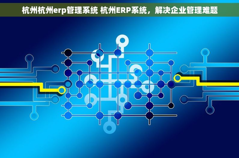 杭州杭州erp管理系统 杭州ERP系统，解决企业管理难题