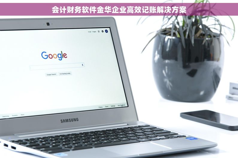 会计财务软件金华企业高效记账解决方案