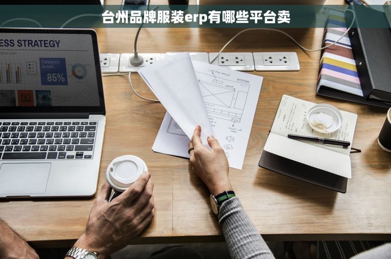 台州品牌服装erp有哪些平台卖