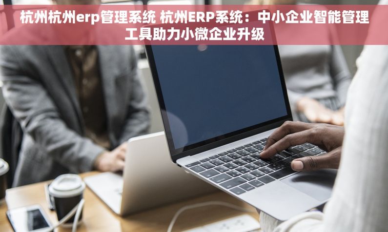 杭州杭州erp管理系统 杭州ERP系统：中小企业智能管理工具助力小微企业升级