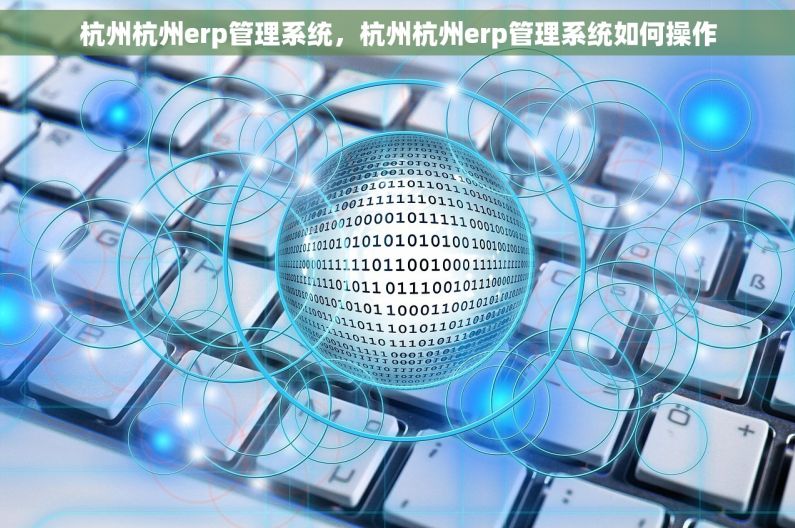 杭州杭州erp管理系统，杭州杭州erp管理系统如何操作