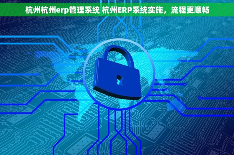 杭州杭州erp管理系统 杭州ERP系统实施，流程更顺畅
