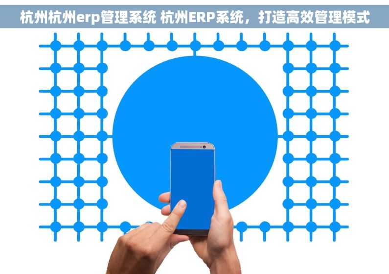杭州杭州erp管理系统 杭州ERP系统，打造高效管理模式