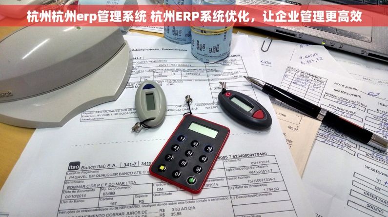 杭州杭州erp管理系统 杭州ERP系统优化，让企业管理更高效