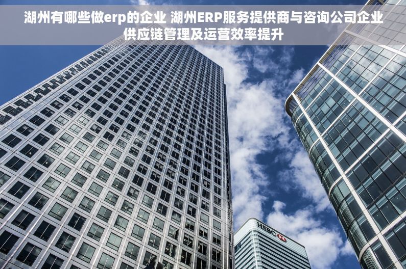 湖州有哪些做erp的企业 湖州ERP服务提供商与咨询公司企业供应链管理及运营效率提升