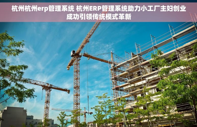 杭州杭州erp管理系统 杭州ERP管理系统助力小工厂主妇创业成功引领传统模式革新