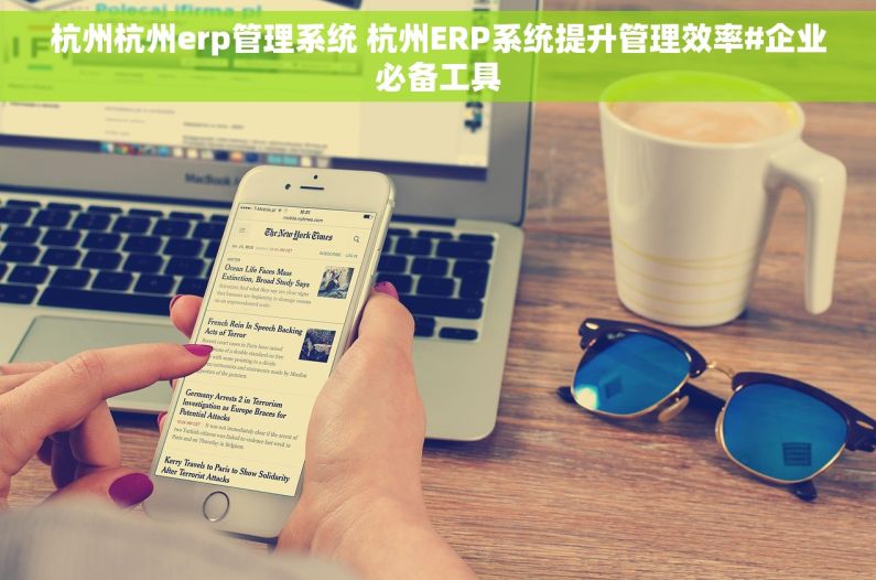 杭州杭州erp管理系统 杭州ERP系统提升管理效率#企业必备工具