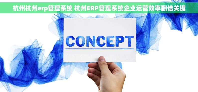 杭州杭州erp管理系统 杭州ERP管理系统企业运营效率翻倍关键