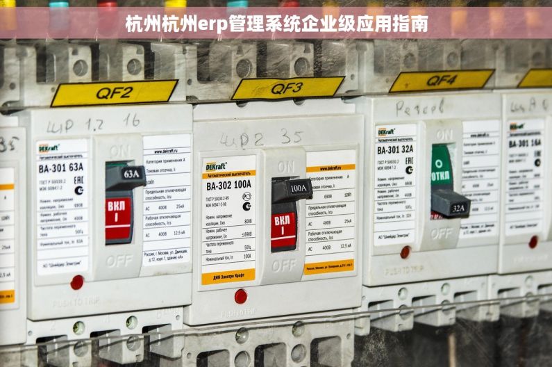 杭州杭州erp管理系统企业级应用指南
