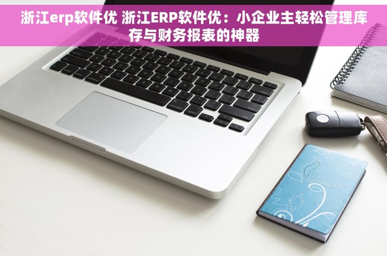 浙江erp软件优 浙江ERP软件优：小企业主轻松管理库存与财务报表的神器