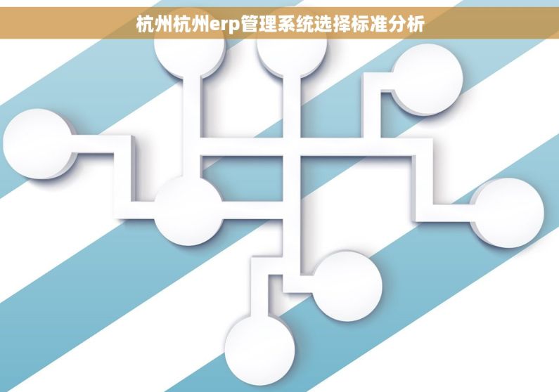 杭州杭州erp管理系统选择标准分析