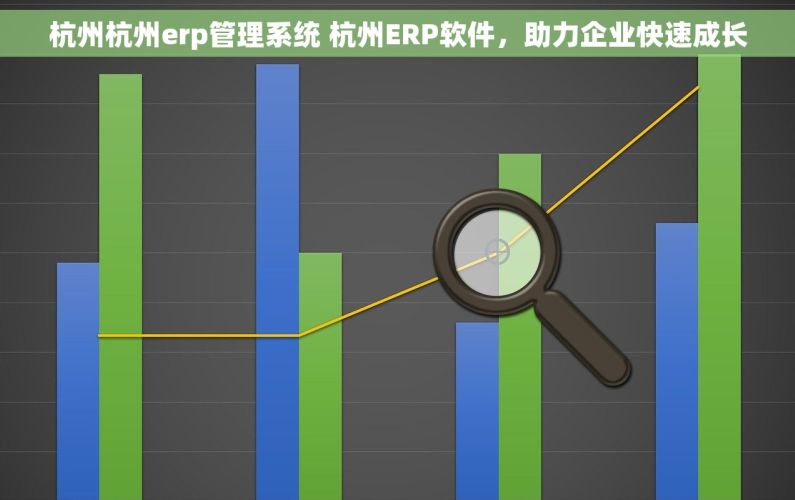 杭州杭州erp管理系统 杭州ERP软件，助力企业快速成长