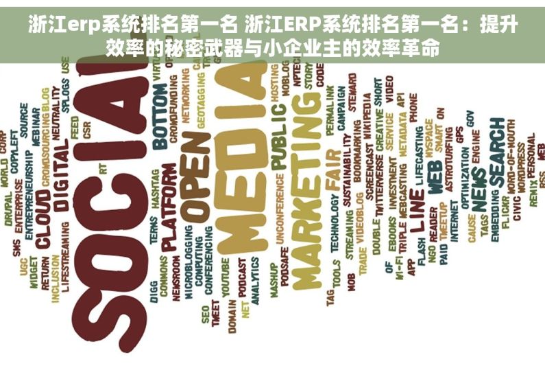 浙江erp系统排名第一名 浙江ERP系统排名第一名：提升效率的秘密武器与小企业主的效率革命